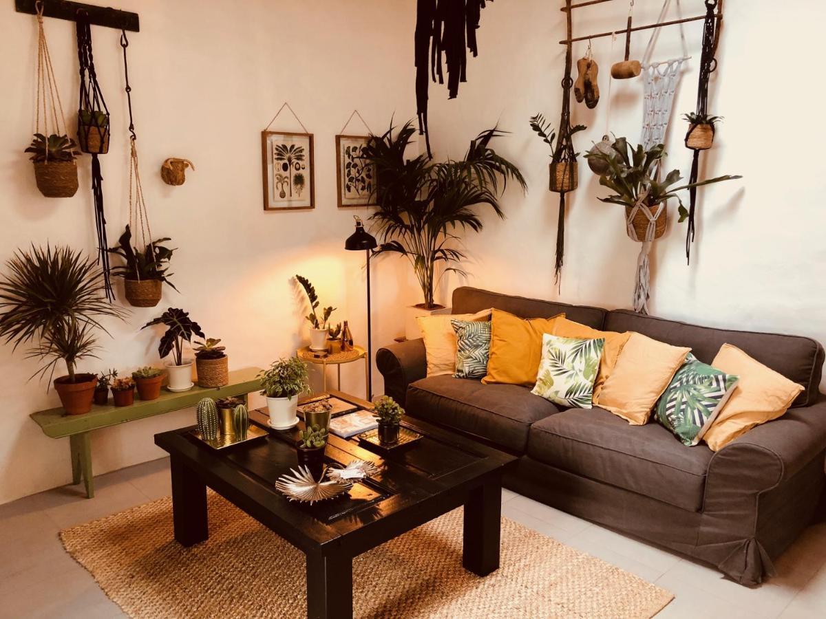 Cuarto Botanico Studio - Shared Pool - Central Island Location - 10 Mins Drive To Famara And La Santa Tiagua Zewnętrze zdjęcie