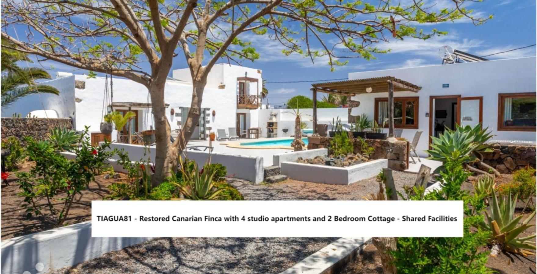 Cuarto Botanico Studio - Shared Pool - Central Island Location - 10 Mins Drive To Famara And La Santa Tiagua Zewnętrze zdjęcie